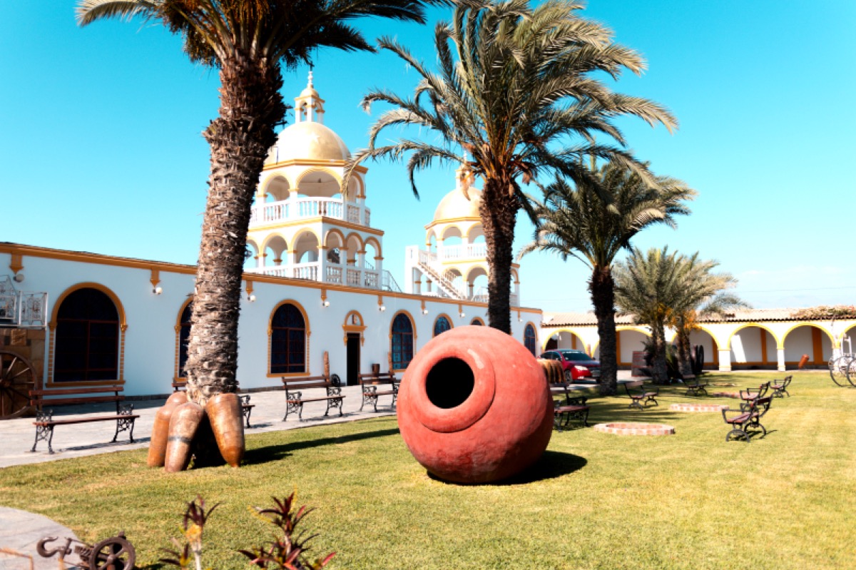 Jardines y áreas verdes de la hacienda